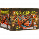 Notorious - 500 Gram Firework