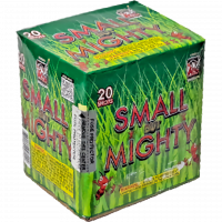 Small But Mighty - 200 Gram Firework